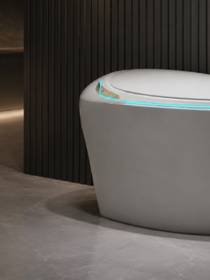 graphite-gray-integrated-smart-toilet